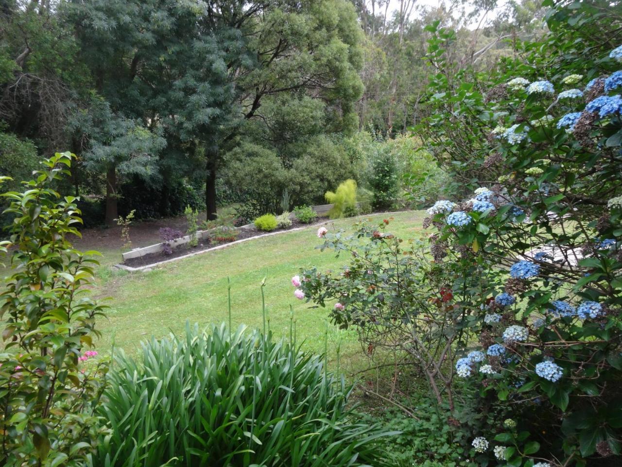 Yarra Ranges Country Apartment Mount Evelyn Exterior photo